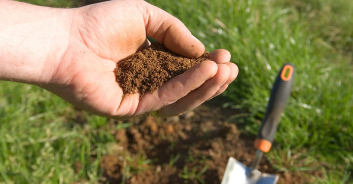 soil testing123