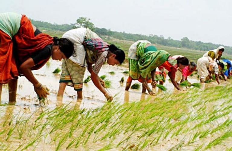 കാർഷികസമൃദ്ധിക്ക് പത്താമുദയം
