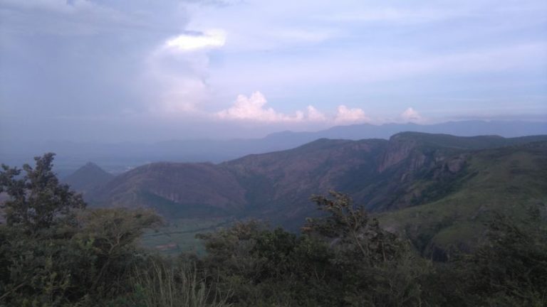മഞ്ഞു പുതച്ച രാമക്കല്‍മേട്