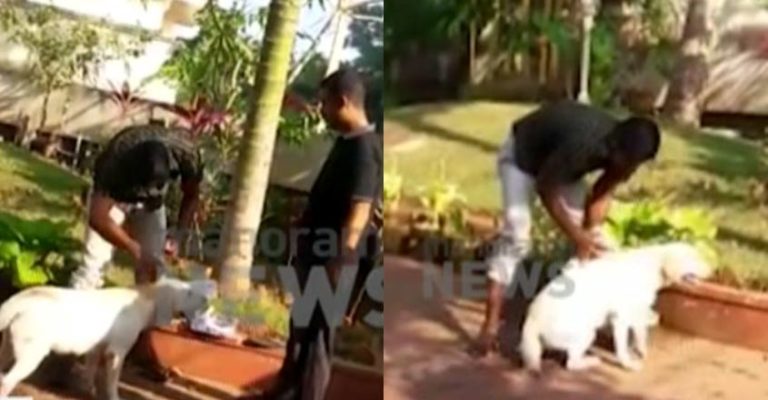 എഡിജിപിയുടെ വീട്ടിൽ പട്ടിയെ പോലീസുകാർ കുളിപ്പിക്കുന്ന വീഡിയോ പുറത്ത്