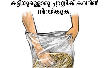 mushroom cultivation in malayalam 004