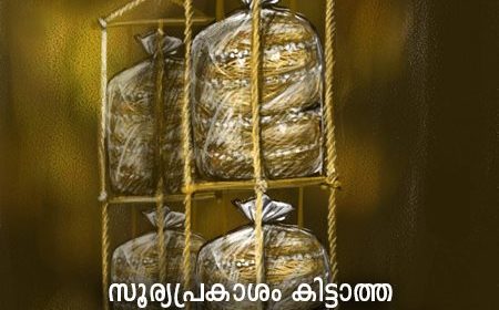 mushroom cultivation in malayalam 006