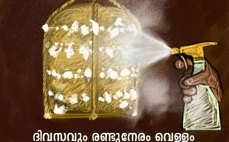 mushroom cultivation in malayalam 008