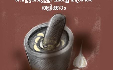 mushroom cultivation in malayalam 009