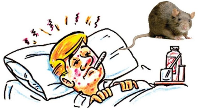 എലിപ്പനിക്കെതിരായ മുന്‍കരുതലുകള്‍