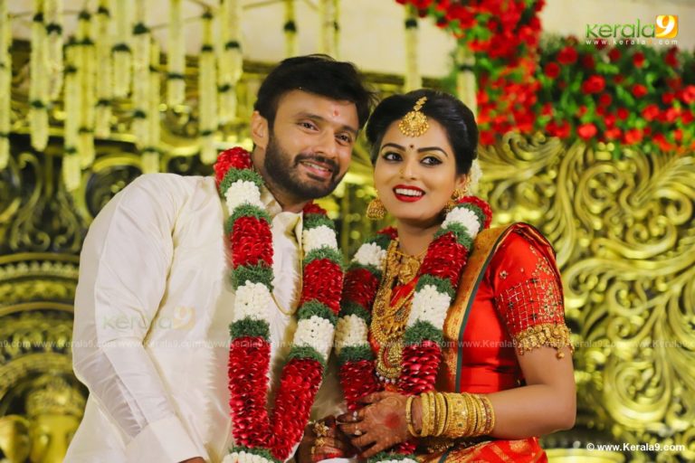 നടി വിഷ്ണുപ്രിയ വിവാഹിതയായി വിഡിയോയും ചിത്രങ്ങളും കാണാം
