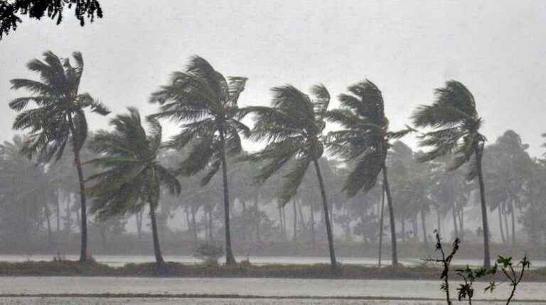സംസ്ഥാനത്ത് മഴ ശക്തമാകും: 12 ജില്ലകളിൽ യെല്ലോ അലേർട്ട്