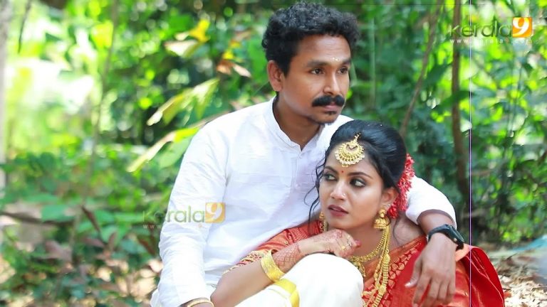 നടൻ വിജിലേഷ് വിവാഹിതനായി, വീഡിയോ കാണാം