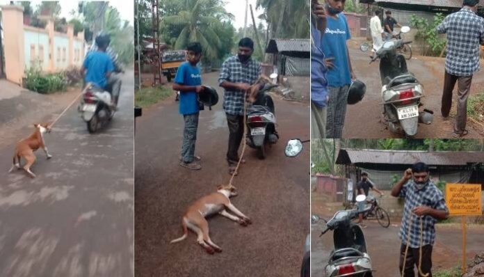 dog-malappuram
