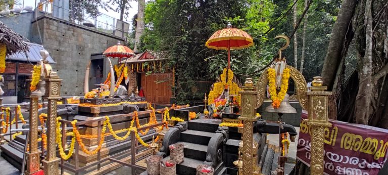 ഗോത്ര സംസ്‌കൃതിയെ നില നിർത്തി കല്ലേലി ഊരാളി അപ്പൂപ്പൻ കാവിൽ കർക്കടക വാവ് ബലി  തർപ്പണം