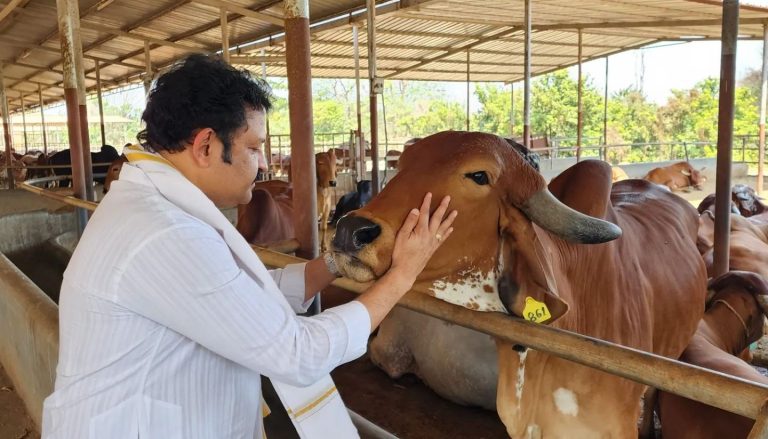 പശുക്കളെ കുറിച്ച് കൃഷ്ണകുമാർ പങ്കുവെച്ച കുറിപ്പിനെതിരെ ട്രോളുകൾ ഉയർന്നിരുന്നു