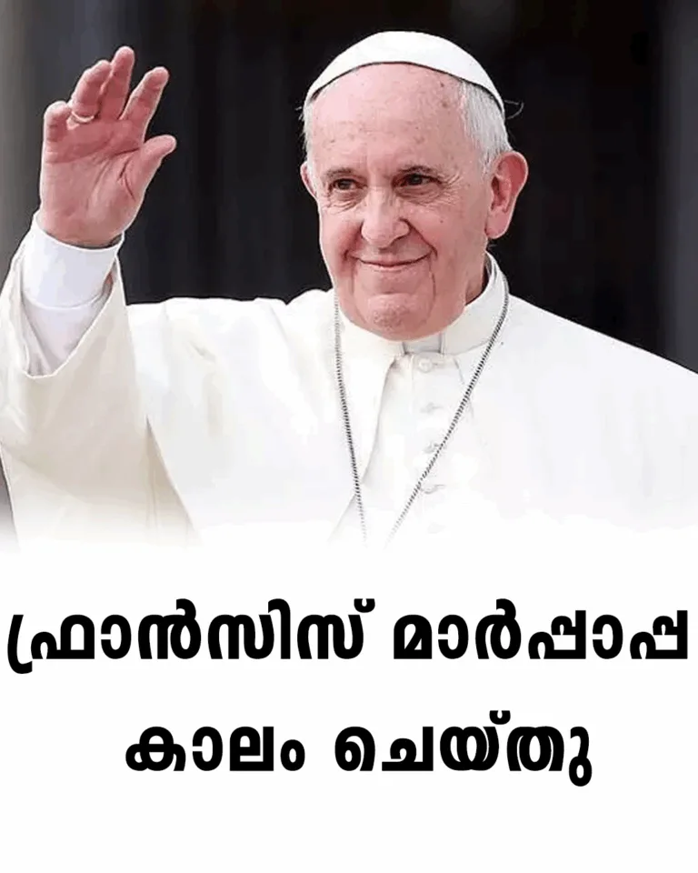ഫ്രാൻസിസ് മാർപ്പാപ്പ കാലം ചെയ്തു