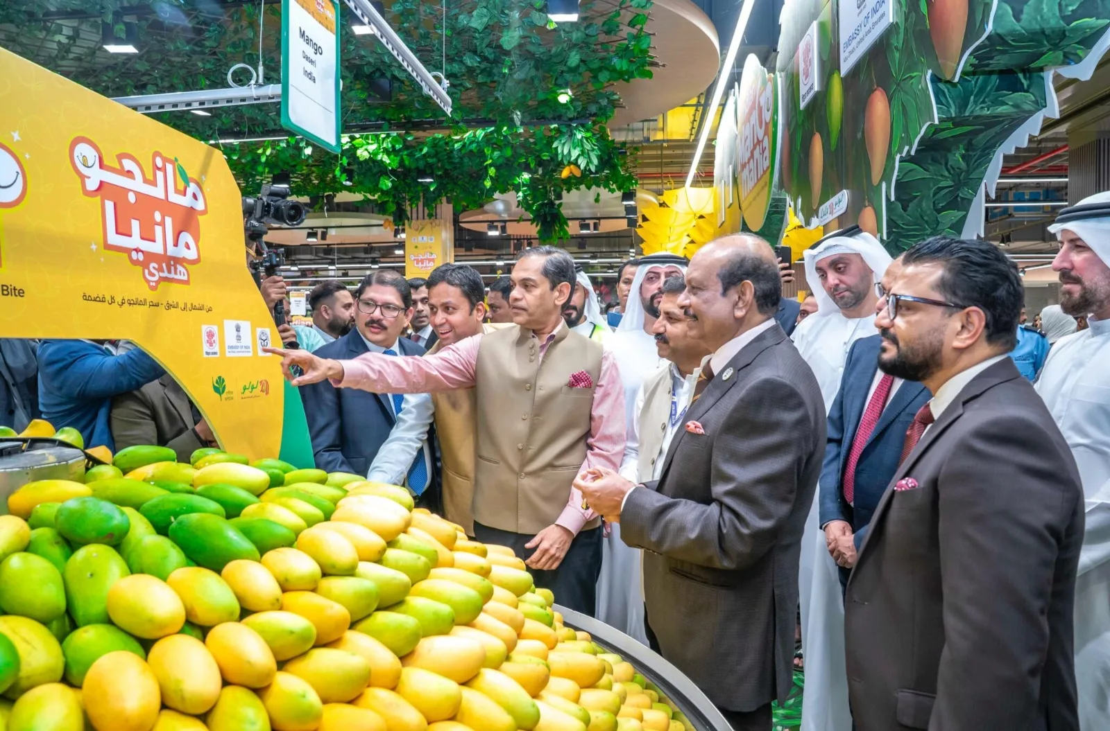 lulu mango season