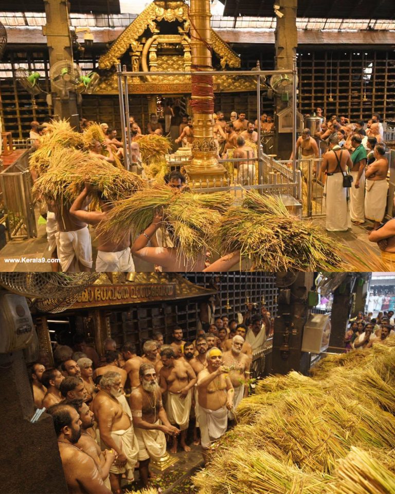 ഭക്തിസാന്ദ്രമായി ഗുരുവായൂർ ഇല്ലം നിറ; പൂജിച്ച കതിരുകൾ സ്വീകരിച്ച് ഭക്തജനങ്ങൾ