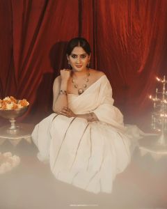 aditi-ravi-in-narayani-look-photos-008