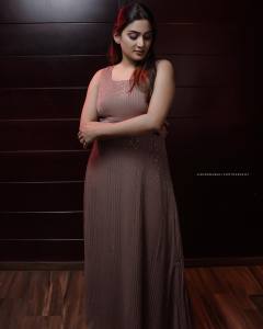 aditi-ravi-in-stone-work-long-dress-001
