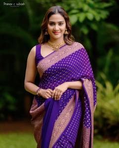 aditi-ravi-in-violet-pattu-saree-photos-002