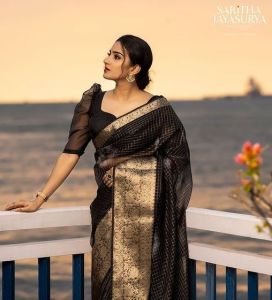 aditi-ravi-photos-in-saree-hd-001