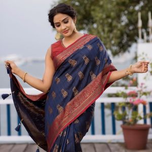 aditi-ravi-saree-photos-hd-001