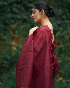 ahaana-in-red-saree-photos-003
