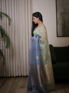 ahana-in-saree-photos-001