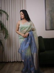 ahana-in-saree-photos-005