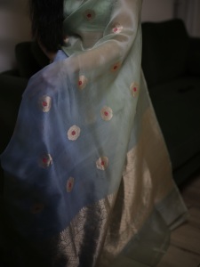 ahana-in-saree-photos-006