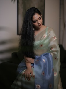 ahana-in-saree-photos-008