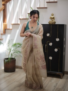 ahana-in-saree-photos-014