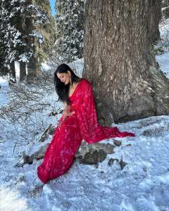 ahana-krishnakumar-in-saree-at-kashmir-trip-photos