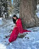 ahana-krishnakumar-in-saree-at-kashmir-trip-photos