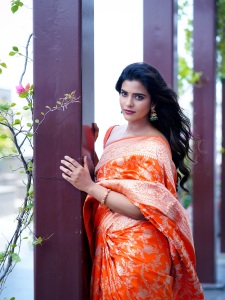aishwarya-rajesh-in-function-wear-saree-photos-001