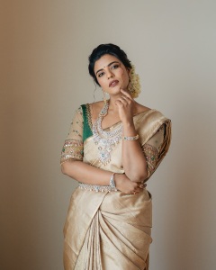 aishwarya-rajesh-in-function-wear-saree-photos-011