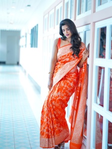 aishwarya-rajesh-in-function-wear-saree-photos