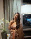 aishwarya-rajesh-in-silk-saree-with-ornaments-ideas-photos-004