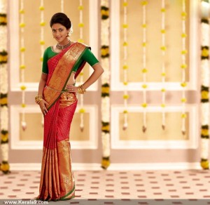 amala-paul-latest-stills30
