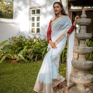 amala-paul-new-kerala-look-photos-in-saree-002