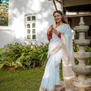 amala-paul-new-kerala-look-photos-in-saree-003