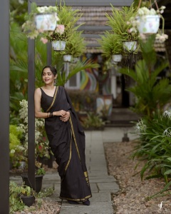 actress-ananya-in-saree-new-trend-images-004