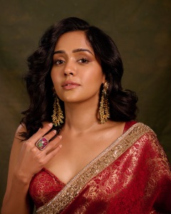 actress-ananya-in-saree-new-trend-images-005