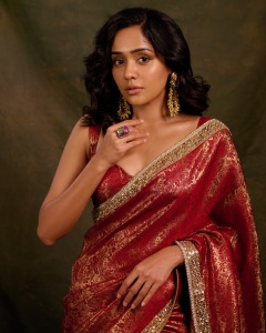 actress-ananya-in-saree-new-trend-images-007