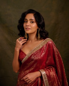 actress-ananya-in-saree-new-trend-images-008