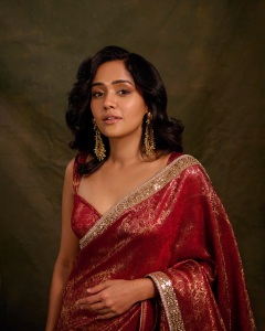 actress-ananya-in-saree-new-trend-images-009