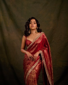 actress-ananya-in-saree-new-trend-images-011