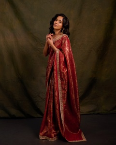 actress-ananya-in-saree-new-trend-images-012
