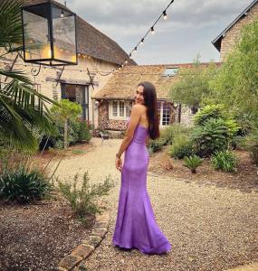 andrea-jeremiah-in-violet-gown