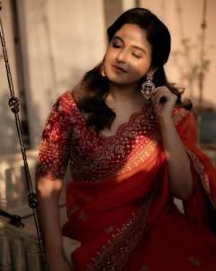 anjali-in-orange-net-heavy-work-saree-photos-003