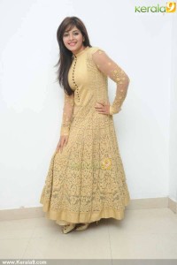anjali-latest-photos-02254