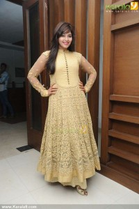anjali-latest-photos-0236