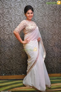 anjali-photos-in-saree-00331